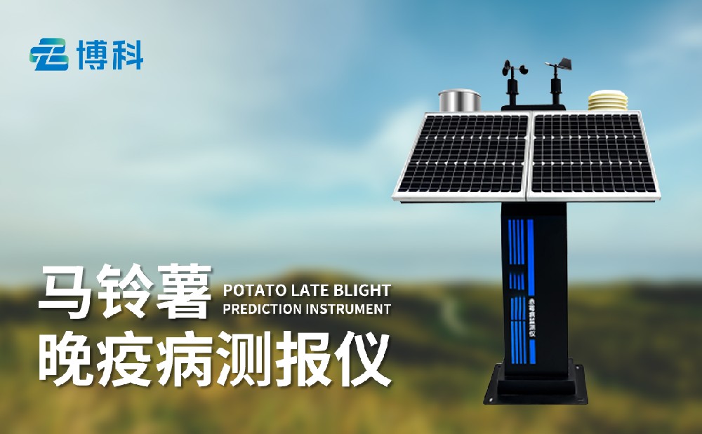 1718703201734064.jpg 馬鈴薯晚疫病監(jiān)測儀
