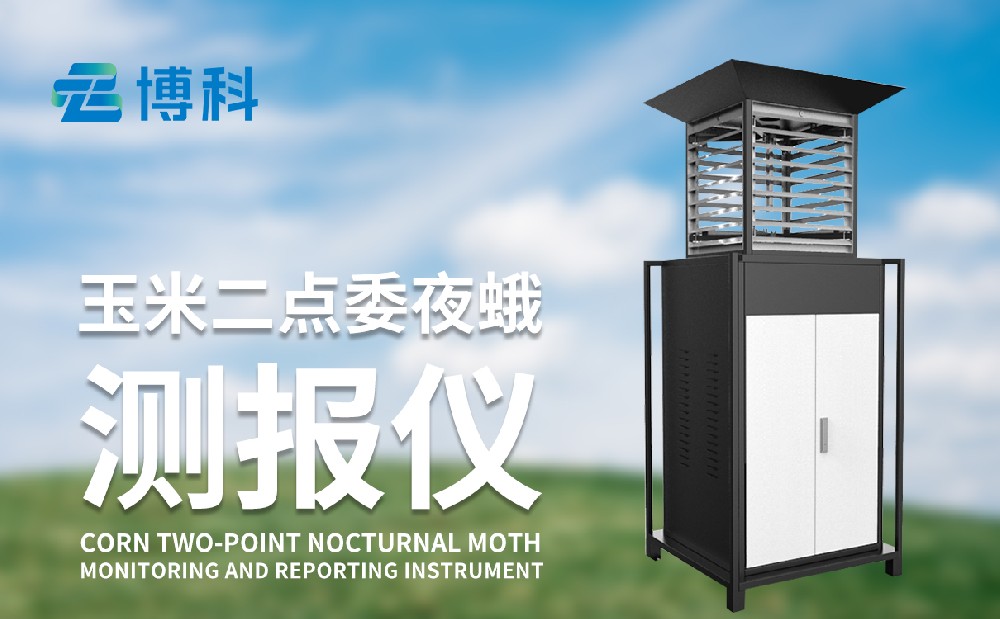玉米二點(diǎn)委夜蛾的危害性和治理手段，玉米二點(diǎn)委夜蛾監(jiān)測(cè)儀
