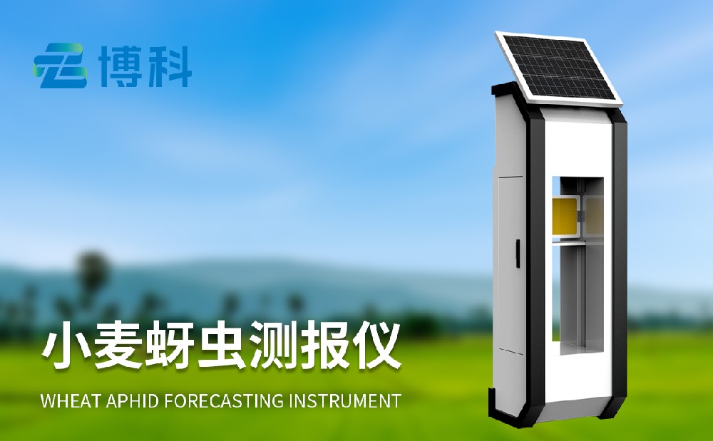 小麥蚜蟲監(jiān)測(cè)儀提升小麥蟲害治理能力