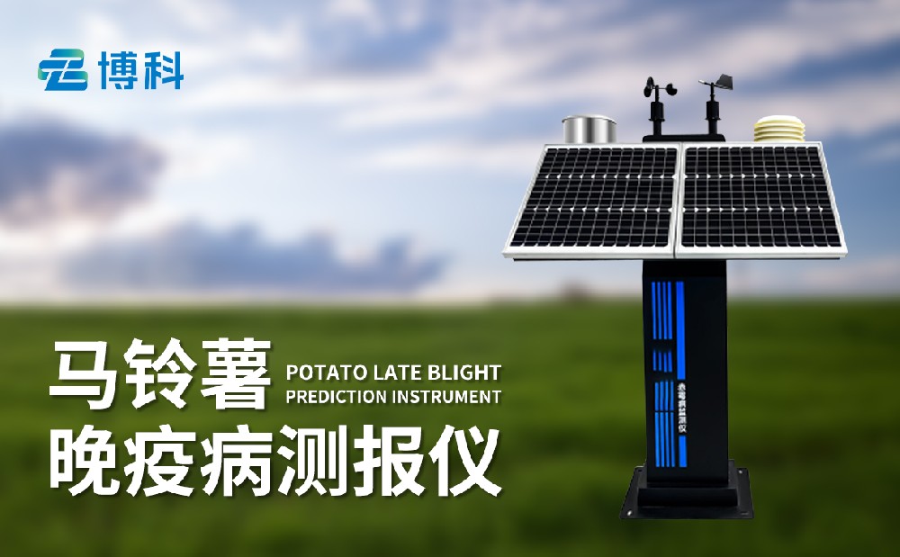 馬鈴薯晚疫病監(jiān)測(cè)儀提升馬鈴薯病害治理能力
